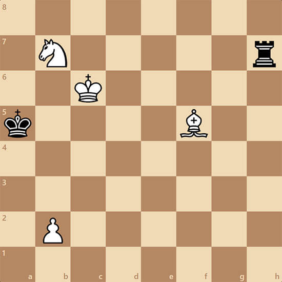 Необычная задача. Кооперативный мат в 4 хода - Functionary Chess