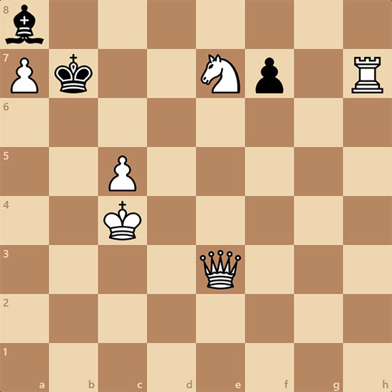 Задача от гроссмейстера Бендера