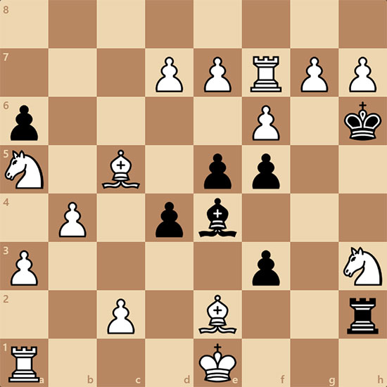 (15+8) s#13