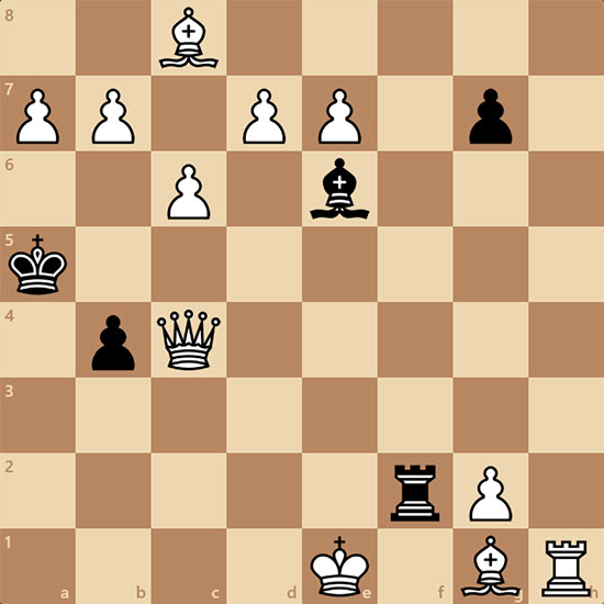 (11+5) s#11